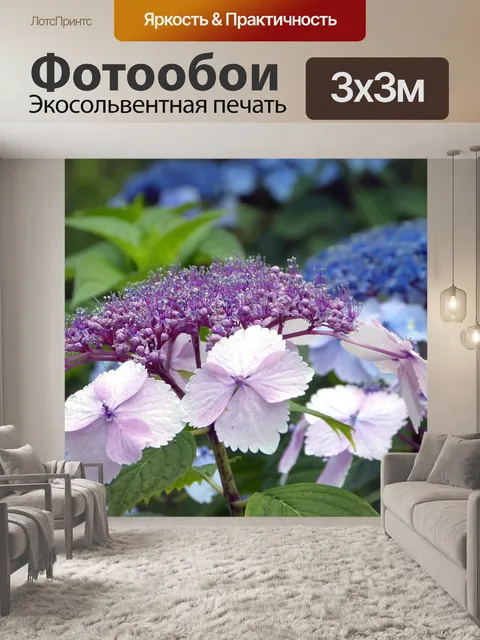 Фотообои Гортензии