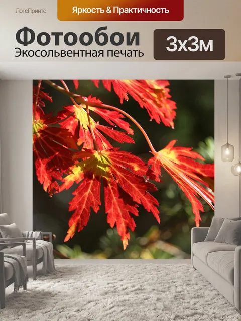 Фотообои Падение