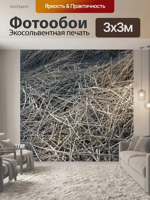 Фотообои Камыши 2