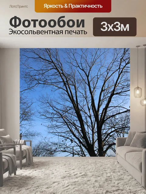 Фотообои Архитектуры