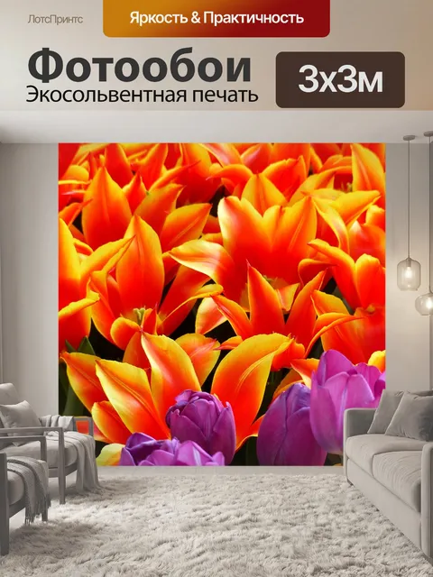 Фотообои Тюльпаны