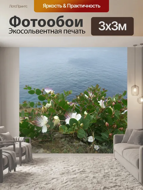 Фотообои Белые цветы