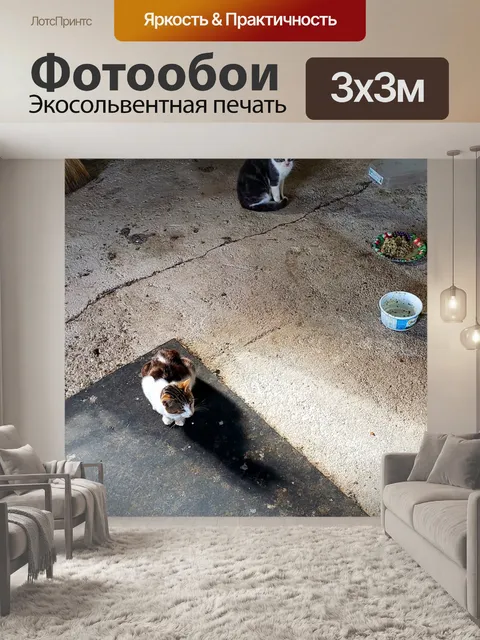 Фотообои Кошки Барн