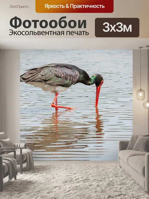Фотообои Аист