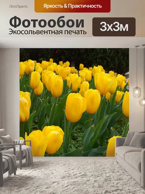 Фотообои Цветы
