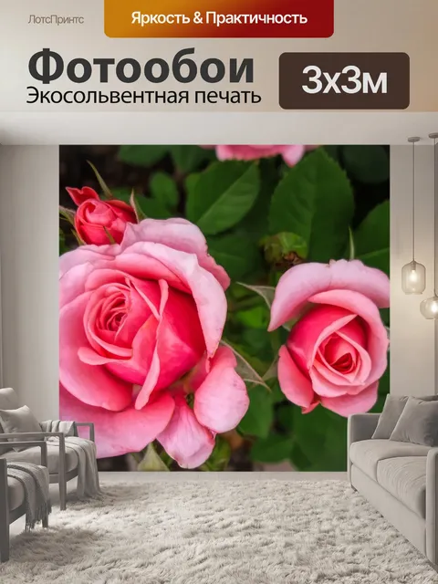 Фотообои Цветы