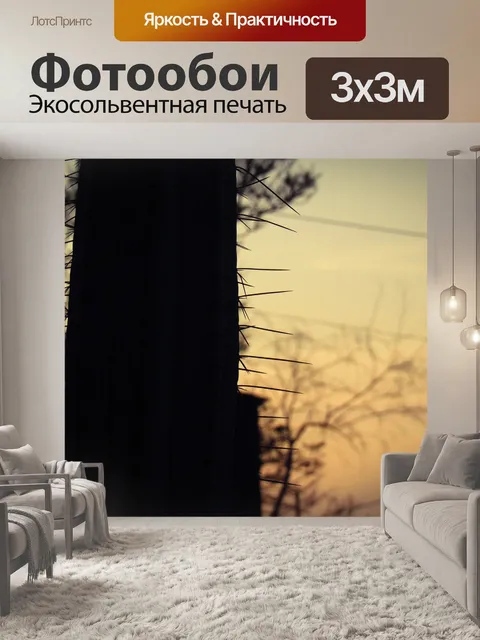 Фотообои Заход солнца