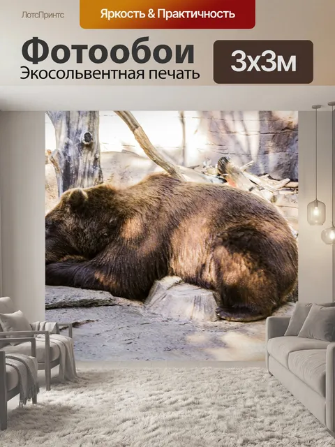 Фотообои Медведь гризли
