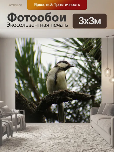 Фотообои Животное