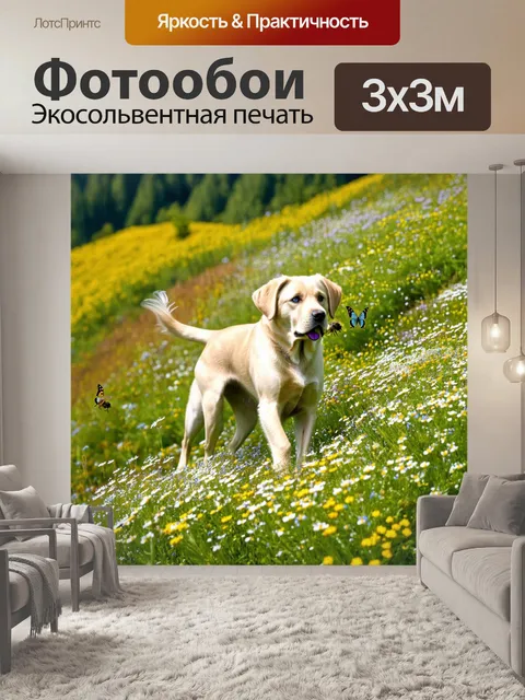 Фотообои лабрадор, стоящий на возвышенности цветочного луга, слушает звуки природы