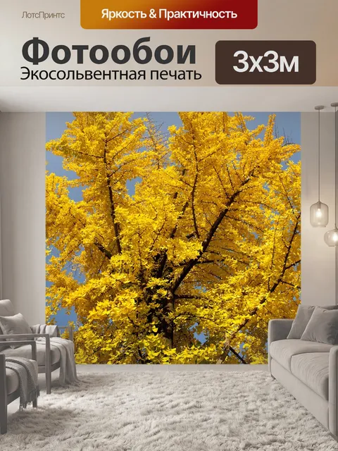 Фотообои Листья