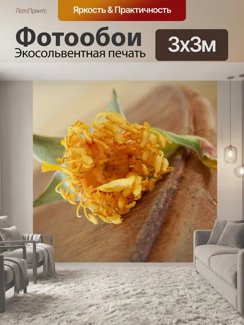 Фотообои Роза стволовых с тычинками