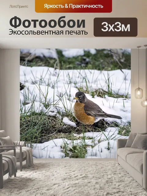 Фотообои Птицы