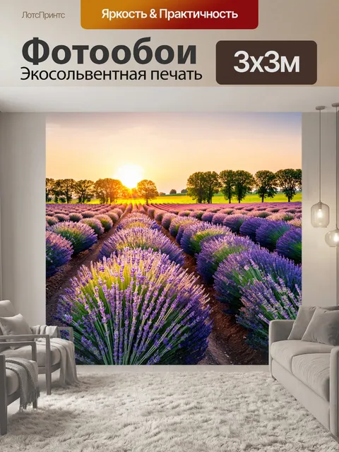 Фотообои поля лаванды на закате