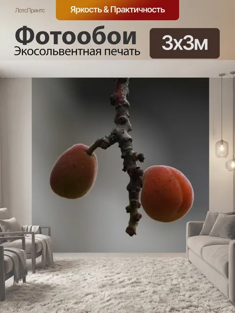 Фотообои Абрикос