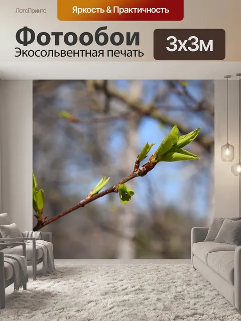Фотообои Новые листья сливы