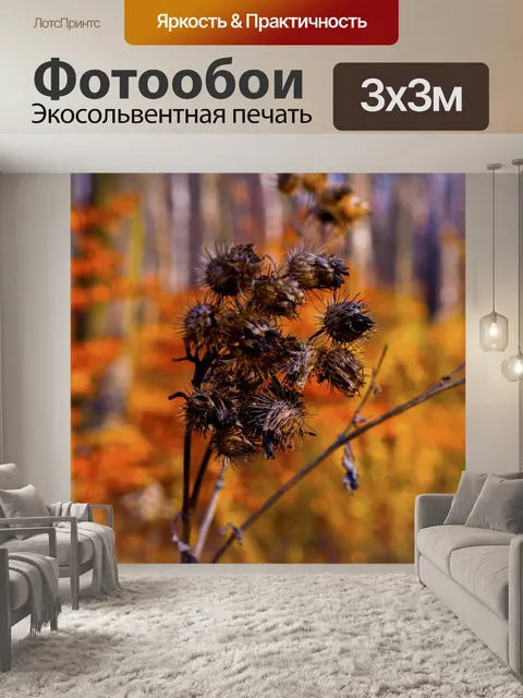 Фотообои Осень