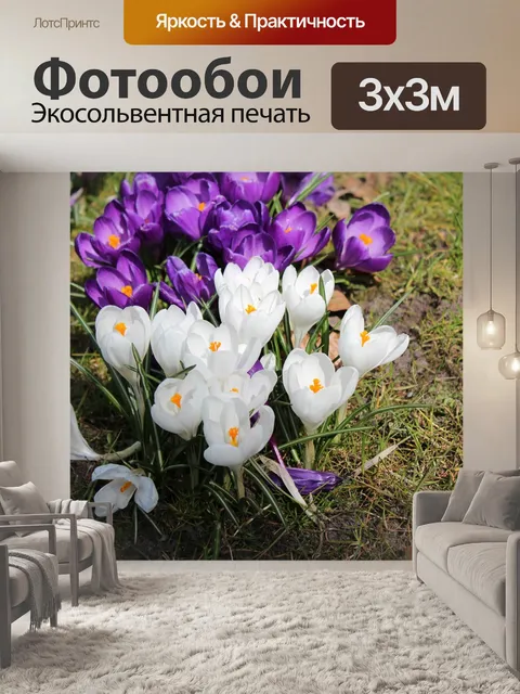 Фотообои Цветы