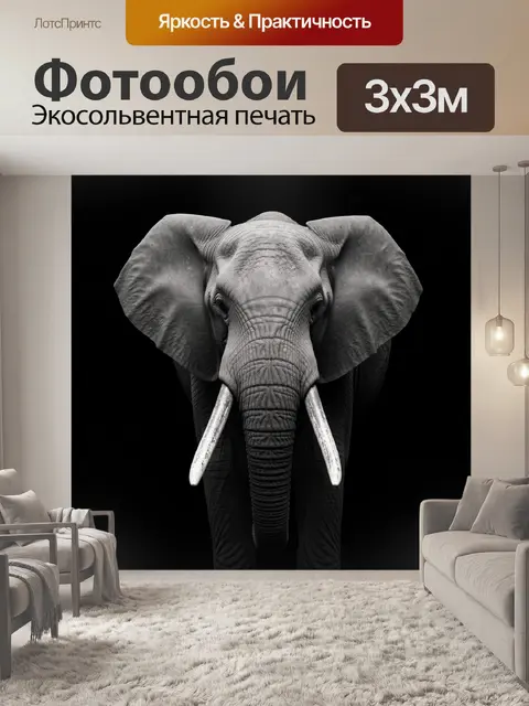 300 × 300 см · Экосольвентная печать