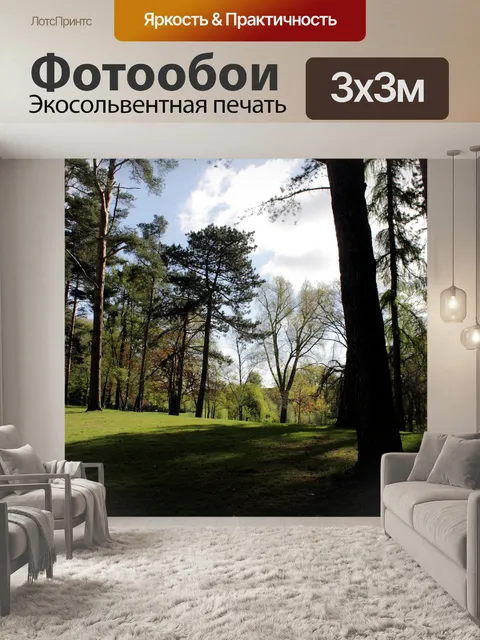 Фотообои Деревья в парке