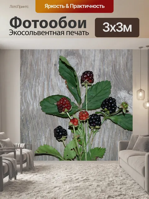 Фотообои Ежевика на деревянном столе