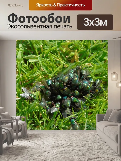 Фотообои Летать