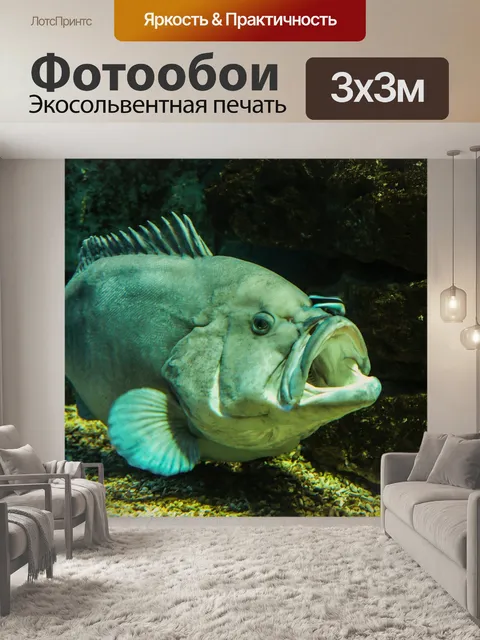 Фотообои Животное