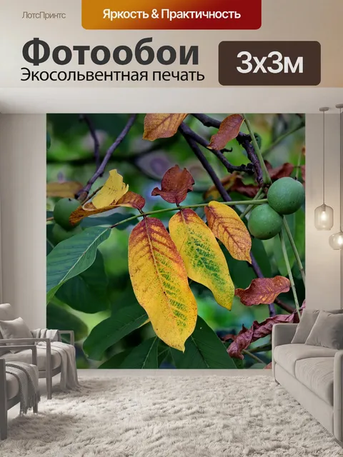 Фотообои Выбор гайки