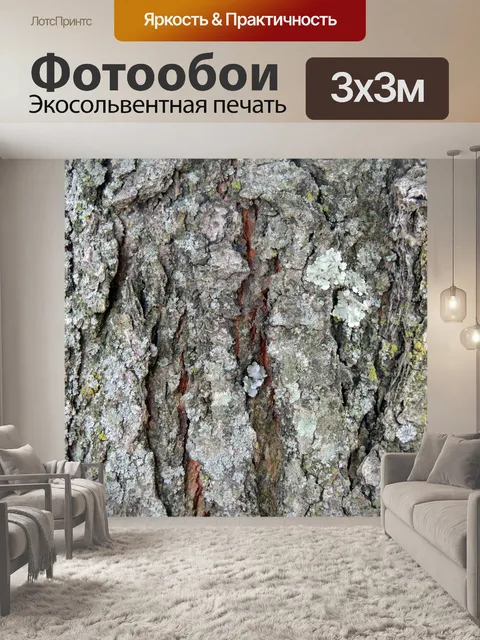 Фотообои Дерево Кора текстуры