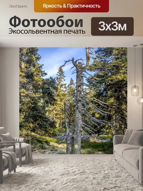Фотообои Дерево смерти
