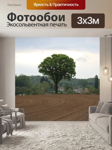 Фотообои Грецкие орехи