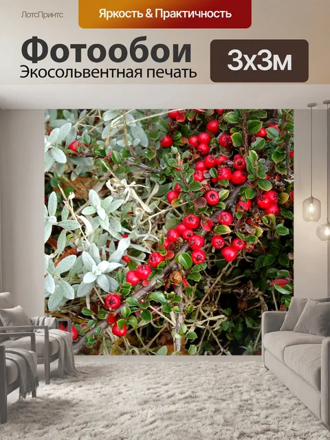 Фотообои Красные ягоды среди флоры
