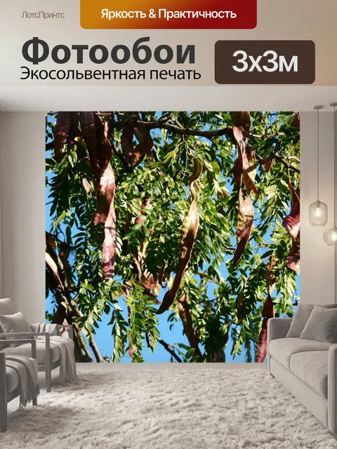 Фотообои Бобовые