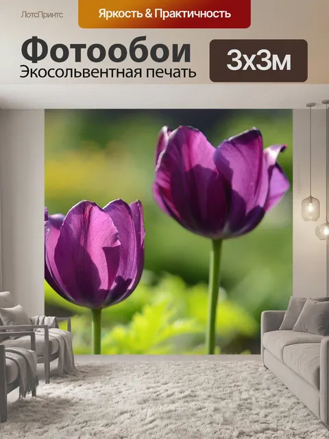 Фотообои Тюльпаны