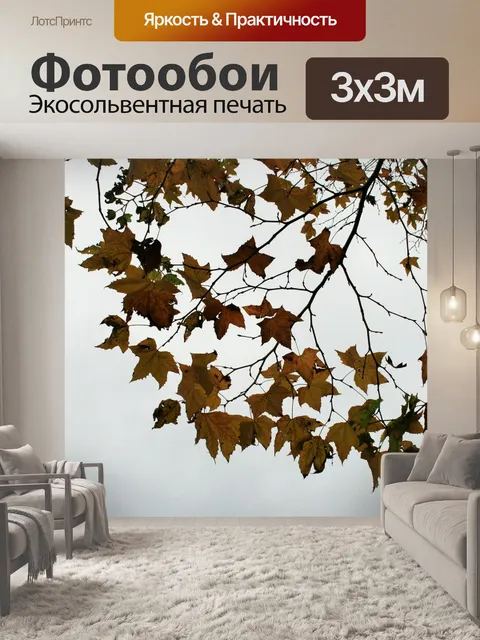 Фотообои желтые и коричневые листья на фоне неба