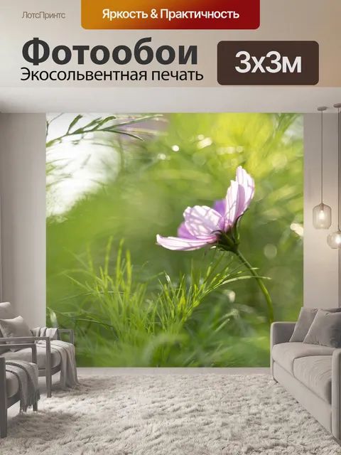 Фотообои Космос