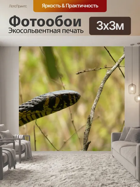 Фотообои Змея