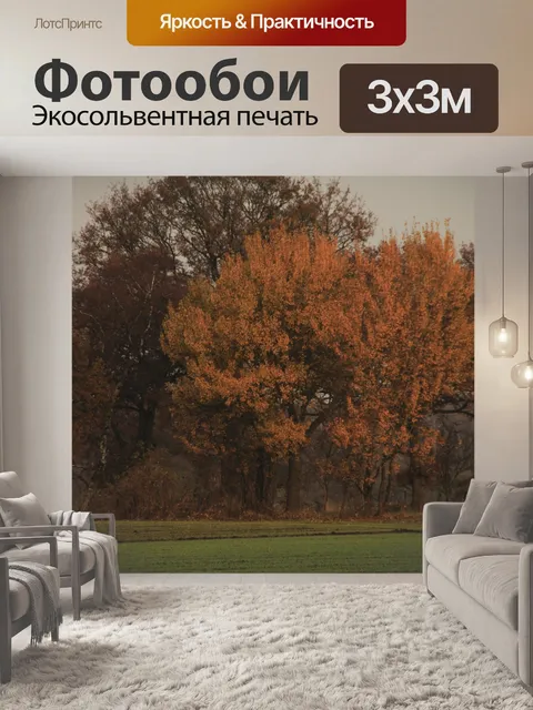 Фотообои Фон