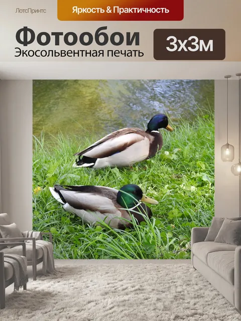 Фотообои Природа