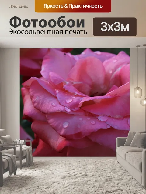 Фотообои Розовый Wet Rose