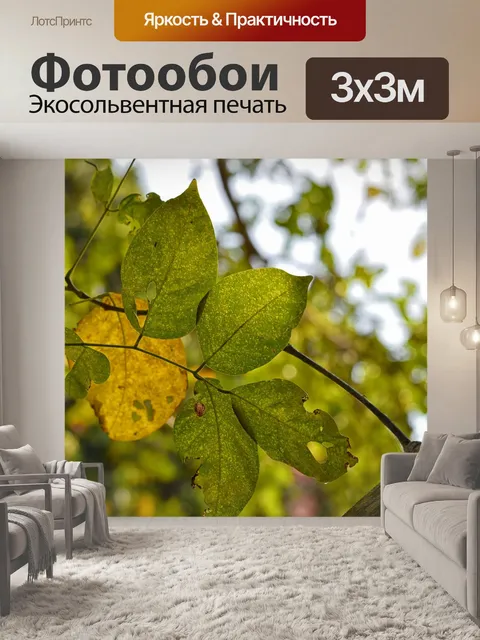 Фотообои Лист