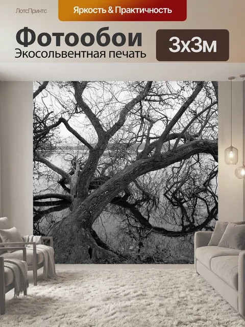 Фотообои Озеро