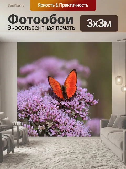 Фотообои Бабочка