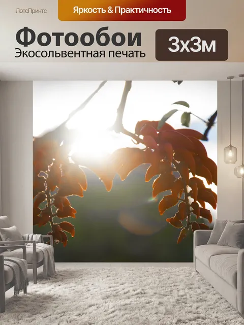 Фотообои Деревья