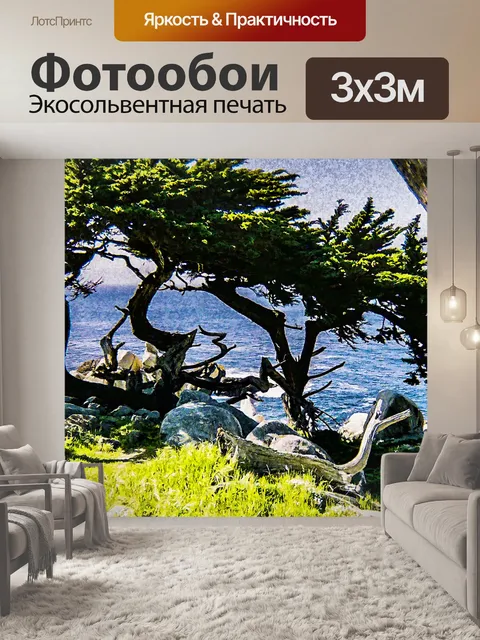 Фотообои Деревья кипарисов и океан