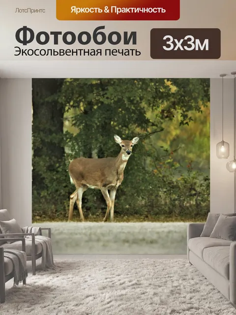 Фотообои Белохвостая лань осенью 2