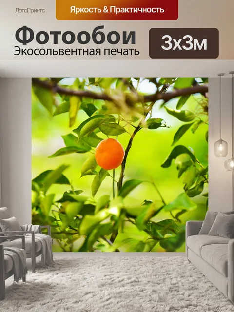 Фотообои Фрукты