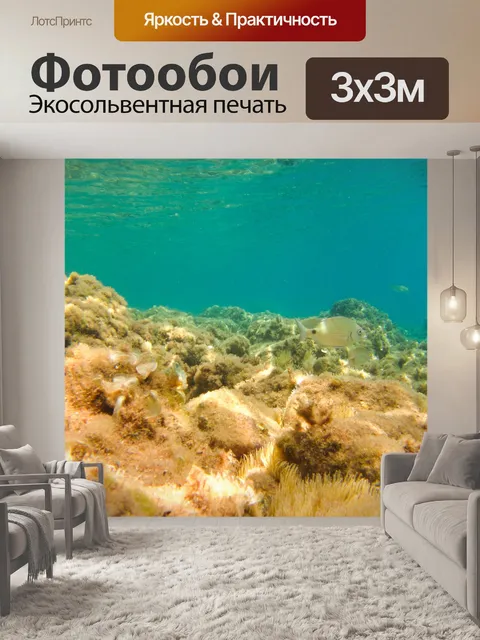 Фотообои Морскому дну под водой