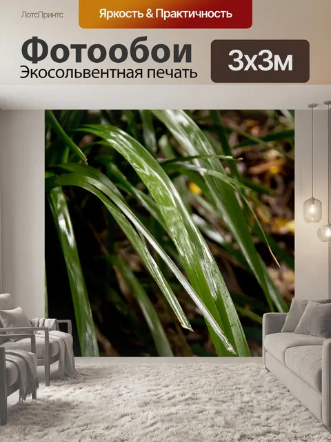 Фотообои Листья