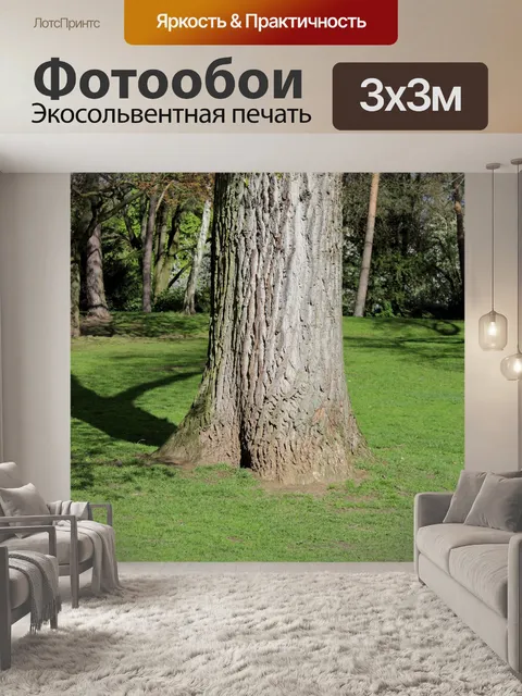 Фотообои Деревья в парке